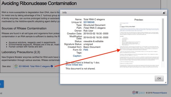 document preview demonstration