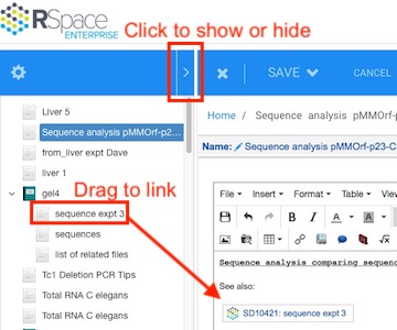 rspace document tree and simplified navigation